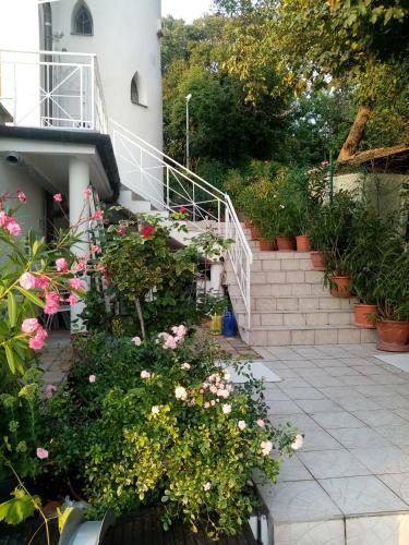 Hostal Johannesburg