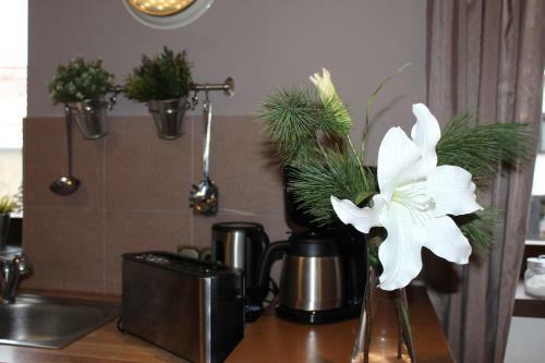 Apartamento Ferienwohnung Bucherbach