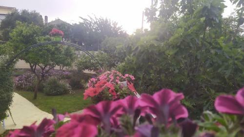 Summer Village House Popi