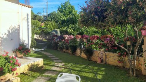 Summer Village House Popi