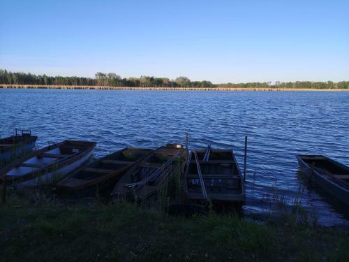 Villa R�zsa Panzi� Vadkerti T�
