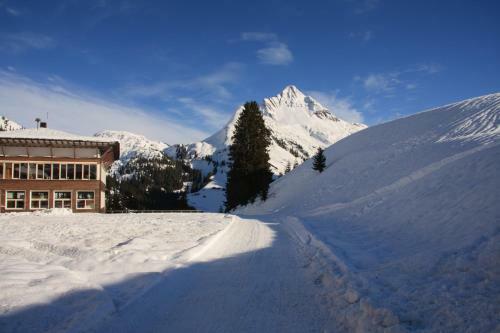 Apartamento Alpenappartement Bergk�nig