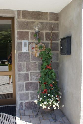 Hostal Haus Bergfrieden