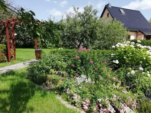 Kleiner Bungalow Im Gr�nen