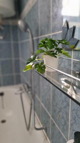 Vitorl�s Apartman