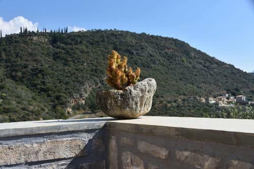 Villa Gika's Hill Stone House