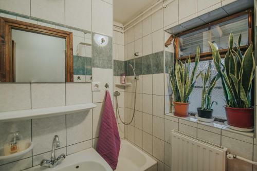 Apartamento Ferencz Porta
