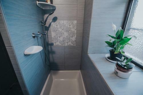 Apartamento Ferencz Porta