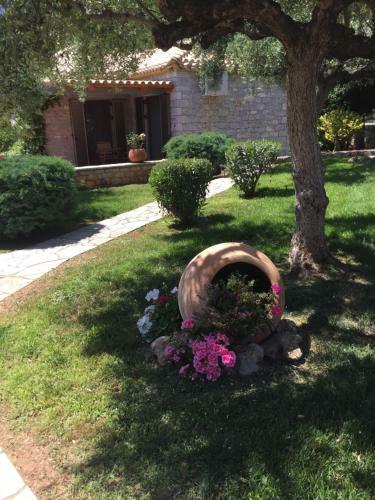Mouses Apartments-kardamyli
