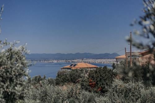 Apartamento Eleutheria
