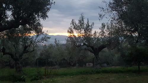 Villa Georgia Kalamata