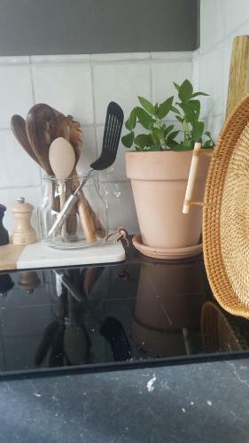 Apartamento Ferienwohnung Wilms