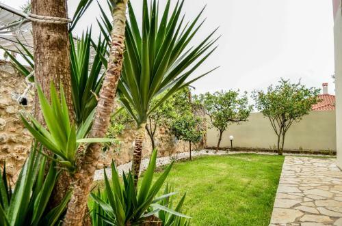 Apartamento Sunrays Housing