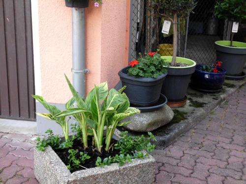 Apartamentos Am Erxleben-hotel