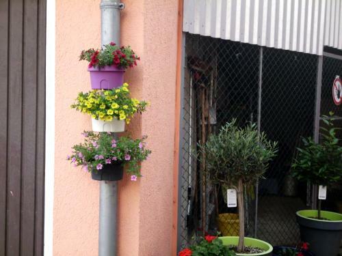 Apartamentos Am Erxleben-hotel