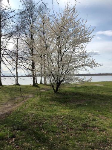 Apartamento Appartement Seebadallee