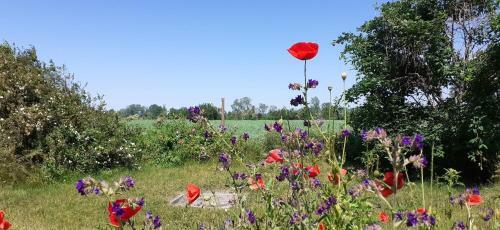 Apartamento Am Achterwasser Dorf 12