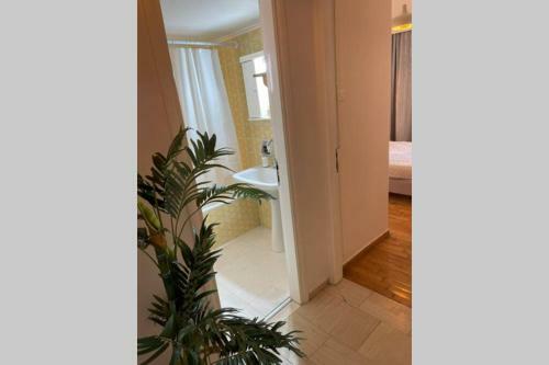 Studio Stay Apartment