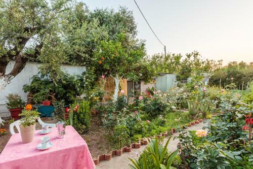 Summer Rose Garden Getaway - A Step To The Beach