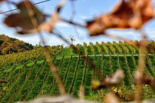 Hostal Weingut Und G�stezimmer Zirngast