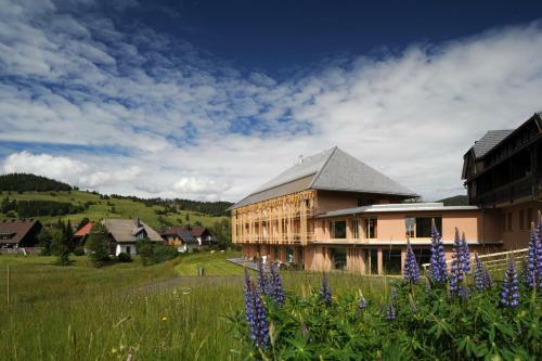 Land-gut-hotel Breggers Schwanen 4*** Hochtal Spa