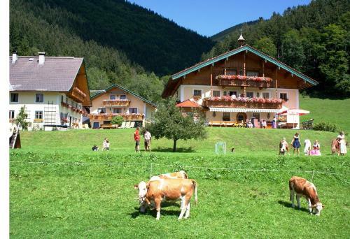 Apartamento Appartement Schmiedbauernhof