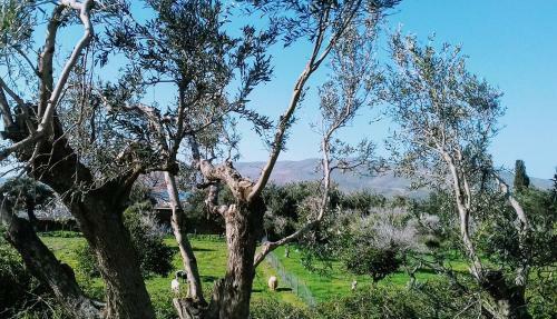 Apartamento The House In Chora