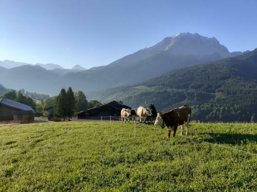 Agroturismo Klettnerlehen