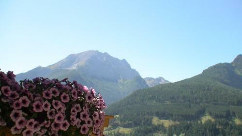 Apartamento G�stehaus Amort Ferienwohnung