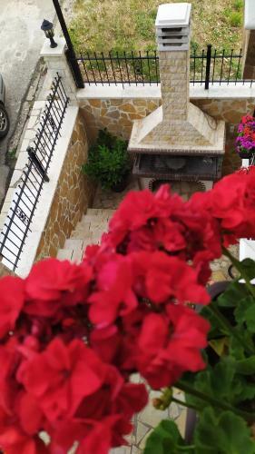 Apartamento Chrysandra