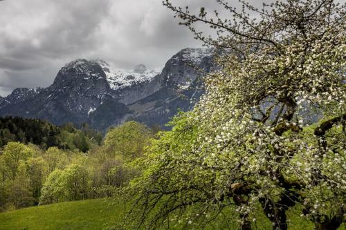 Apartamento Karnerlehen Ferienwohnungen