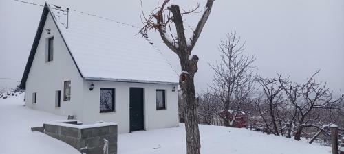Apartamento Barb�r Borb�r