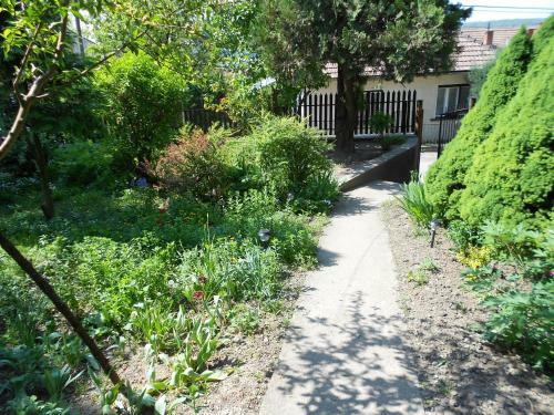 Hostal V�r-lak Vend�gh�z