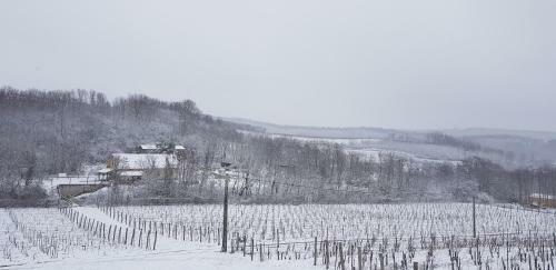 Bed & Breakfast Attila Birtok