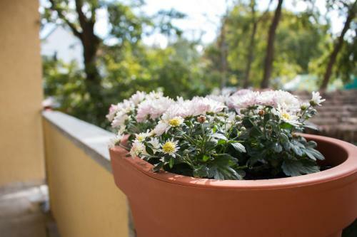 Good Life Home Apartment Szentendre