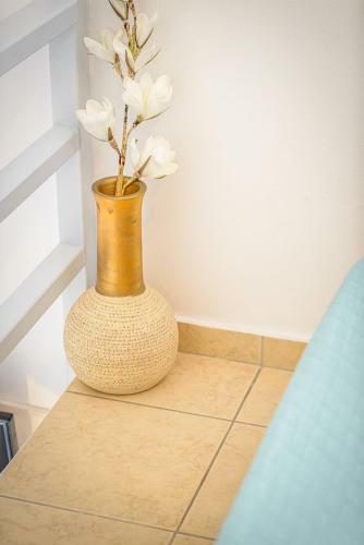 Ds Traditional Villas Santorini Island