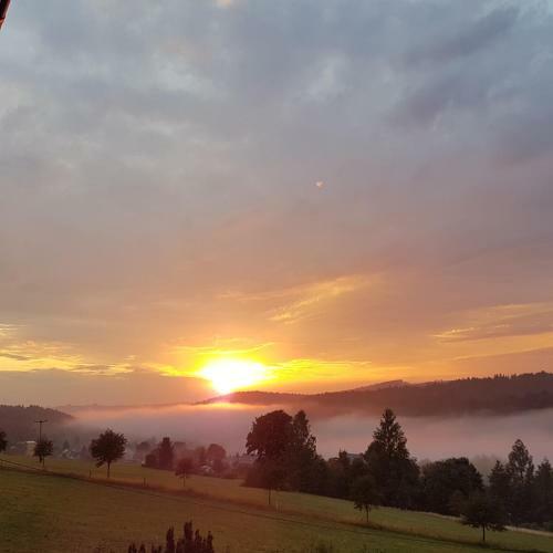 Apartamentos Ferienwohnung Goldene H�he