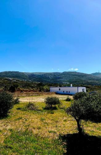 Tetrapolis Cottage
