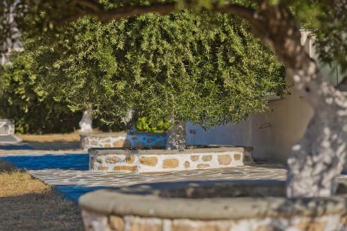 Apartamento Olive Studios Karpathos Studio #4