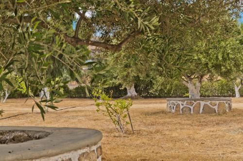 Olive Studios Karpathos Studio #2