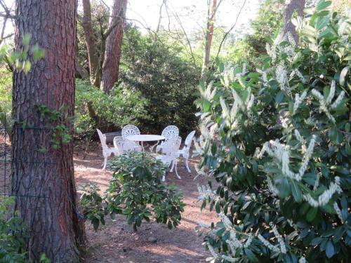 Heidehaus Lippl Am Steinhuder Meer