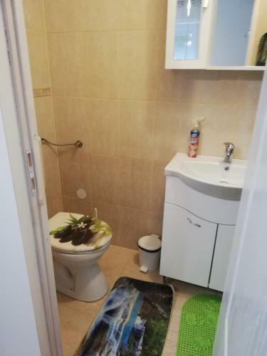 �r�kz�ld Apartman Szeged