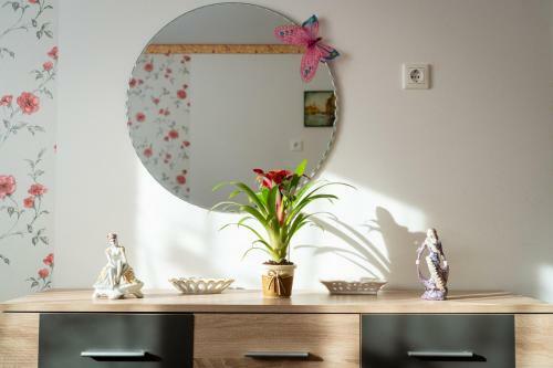 Tip-top Apartman H�z