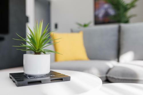 Noir Hotel - Penthouse Apartman