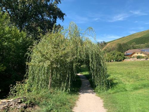 Ferienhaus Laura