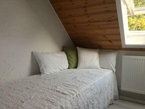 Apartamento Ferienwohnung Dashaus
