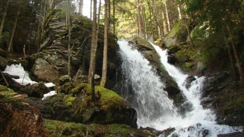 Hostal G�stehaus Apschner