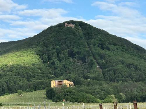 Apartamento Barocker Hof Rhodt