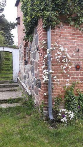 Apartamento Gro�e Ferienwohnung In Flecken Zechlin
