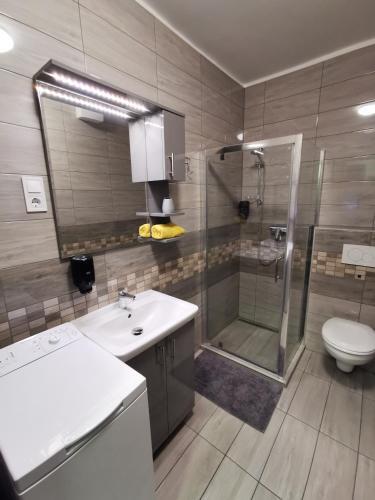 Apartments In Siofok/balaton 38420